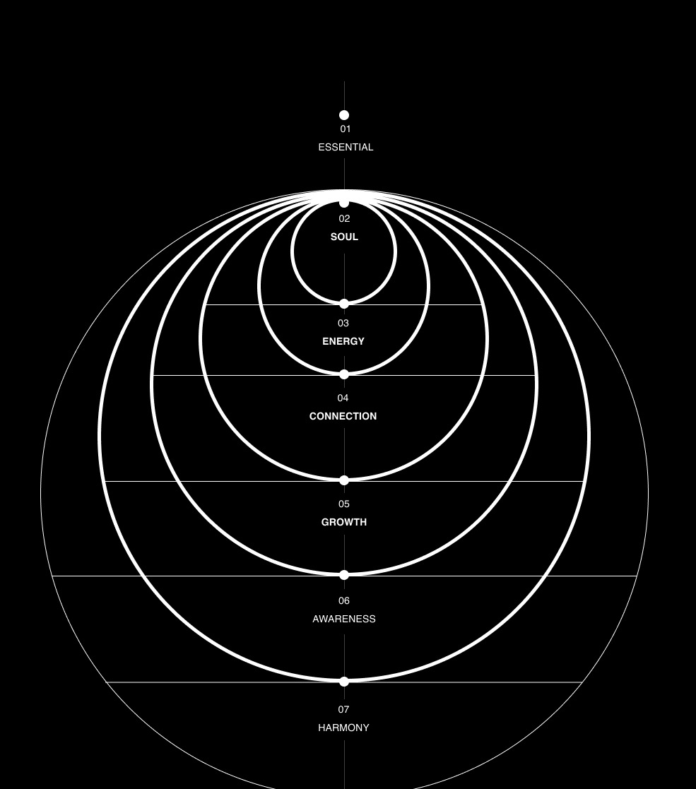Diagram with concentric circles labeled from 'Essential' to 'Harmony' on a black background